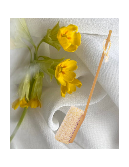 Brosse luffa avec manche démontable