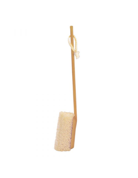 Brosse luffa avec manche démontable
