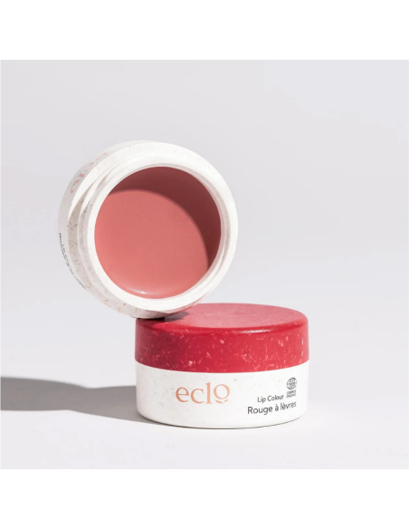 Rouge à lèvres Rose Fierce 004